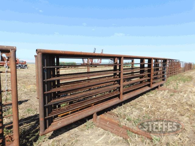 (11) freestanding 24' cattle panels, 